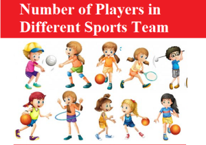 Number of Players in Different Sports Team