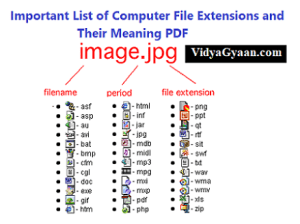 Important List of Computer File Extensions and Their Meaning PDF