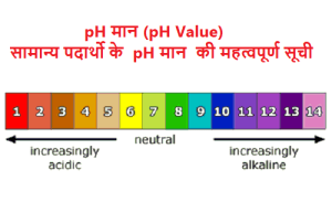 pH मान (pH Value)| सामान्य पदार्थो के pH मान की महत्वपूर्ण सूची