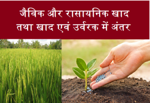 जैविक और रासायनिक खाद तथा खाद एवं उर्वरक में अंतर